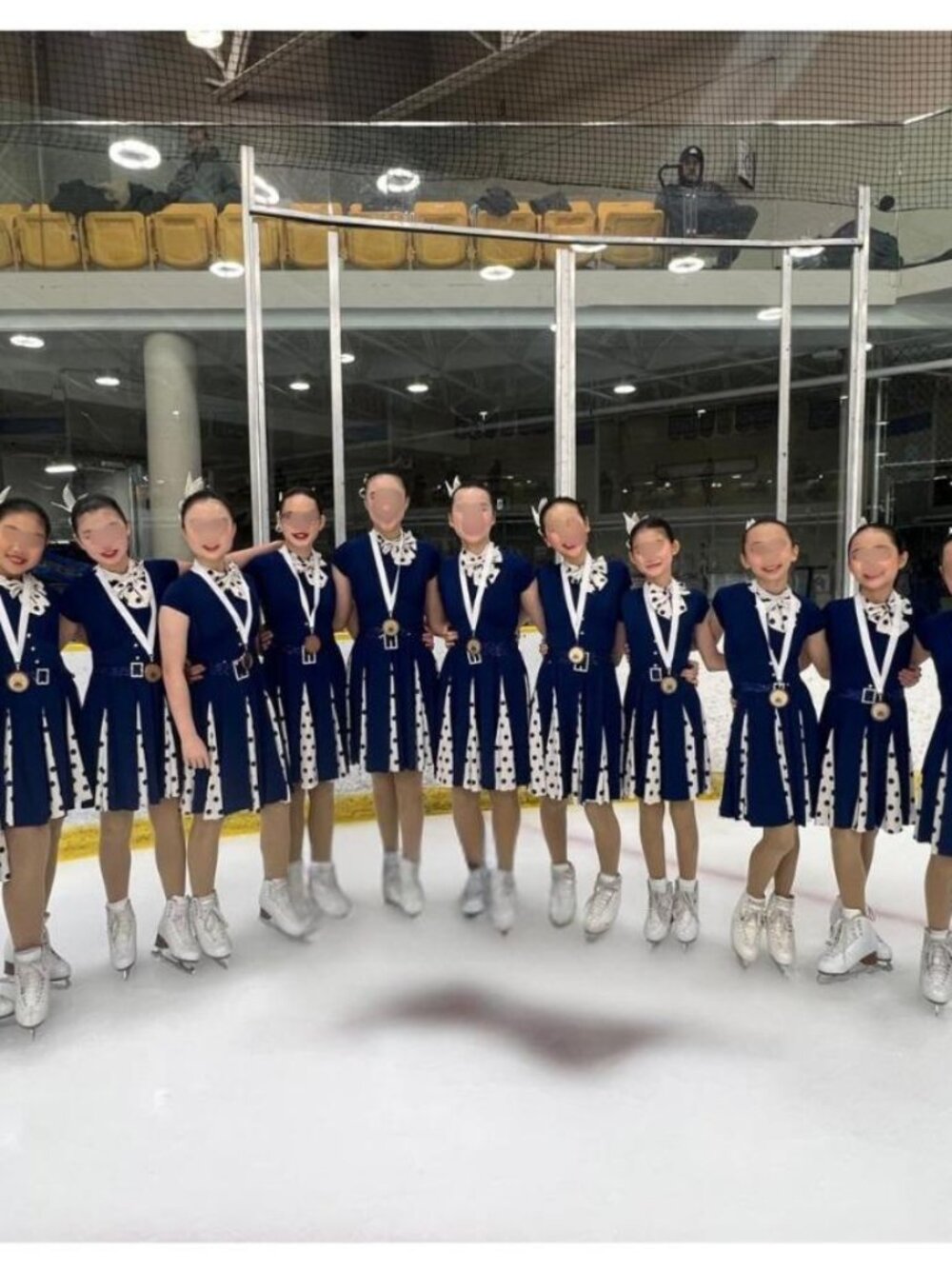 Moonlinght Senerade Synchronized Skating Dressses Set of 15 pieces